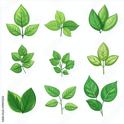 green leaves set on white background
