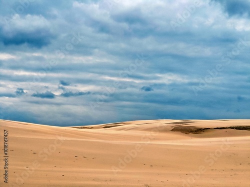 Weite Dünenlandschaft bei Skagen