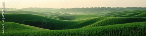 A field of green grass with a few trees in the background. The grass is tall and lush, and the sky is a light blue color. Concept of peace and tranquility