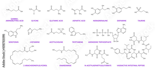 Neurotransmitter chemical formulas. Dopamine, serotonin, taurine and adrenaline molecules. Vector chemical skeletal structures of gamma-aminobutyric acid, glycine, glutamic acid, aspartic acid