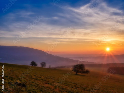 Wallpaper Mural Scenic hilly landscape with solitary trees during sunset Torontodigital.ca