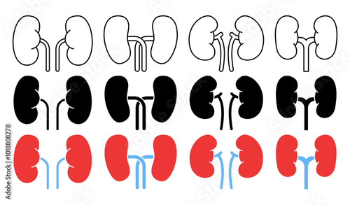 Kidney Icon Set