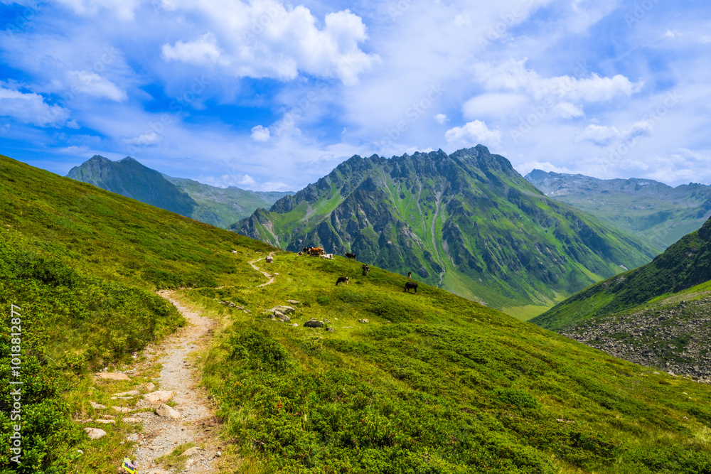 The Brandertal near Alpe Palüd, State of Vorarlberg, Austria The Brandertal near Alpe Palüd, State of Vorarlberg, Austria