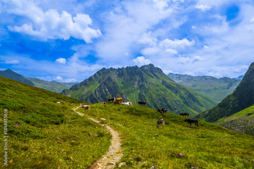 Fototapeta premium The Brandertal near Alpe Palüd, State of Vorarlberg, Austria