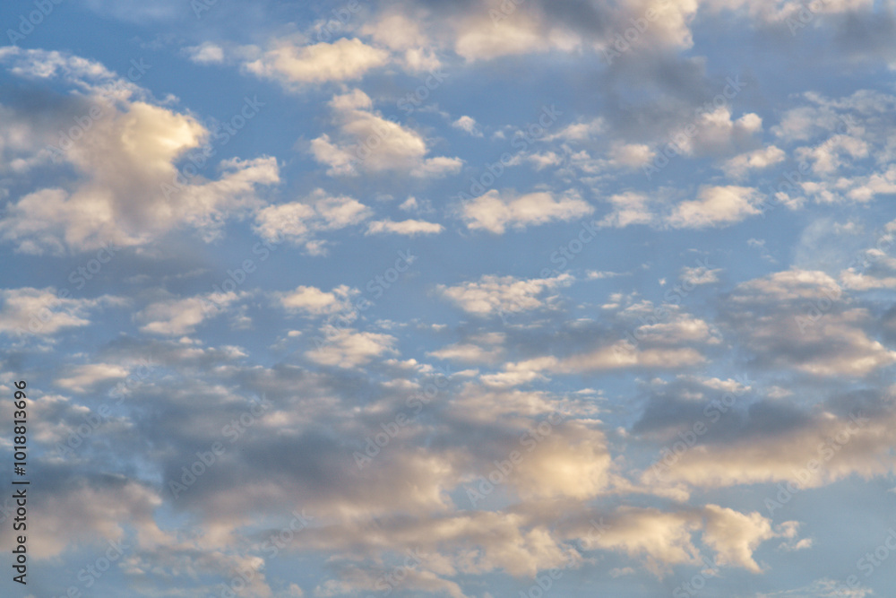 Fototapeta premium Cloudscape with colored fluffy clouds in sunset sky