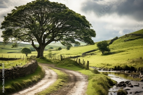 landscape with river and road