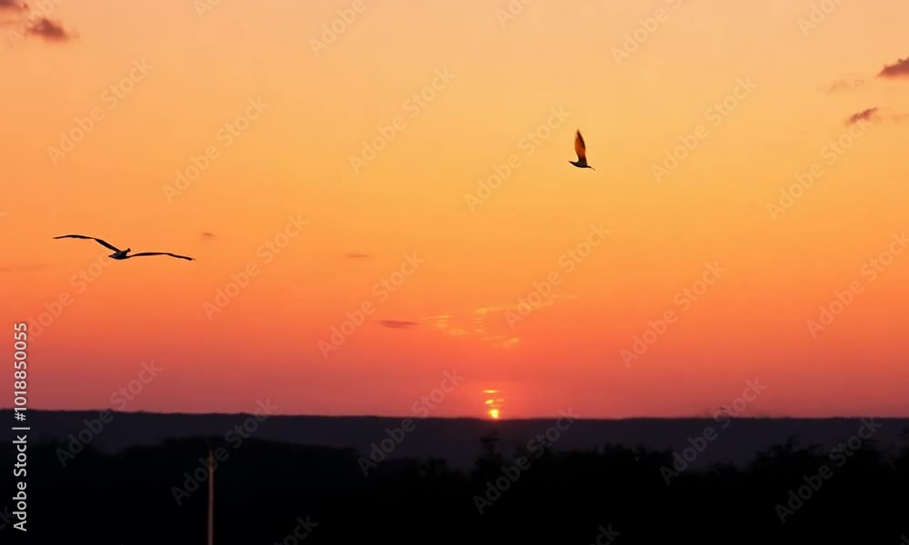sunset in the sky sunset in the sky