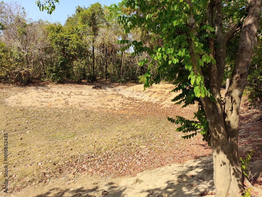 Fototapeta premium O Jalapão está localizado no extremo leste do Tocantins, região norte do Brasil