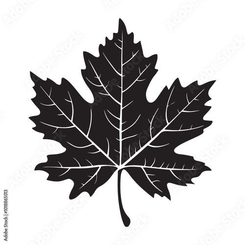 maple leaf silhouette vector illustration