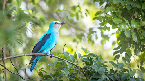 Bird sat on the tree photo