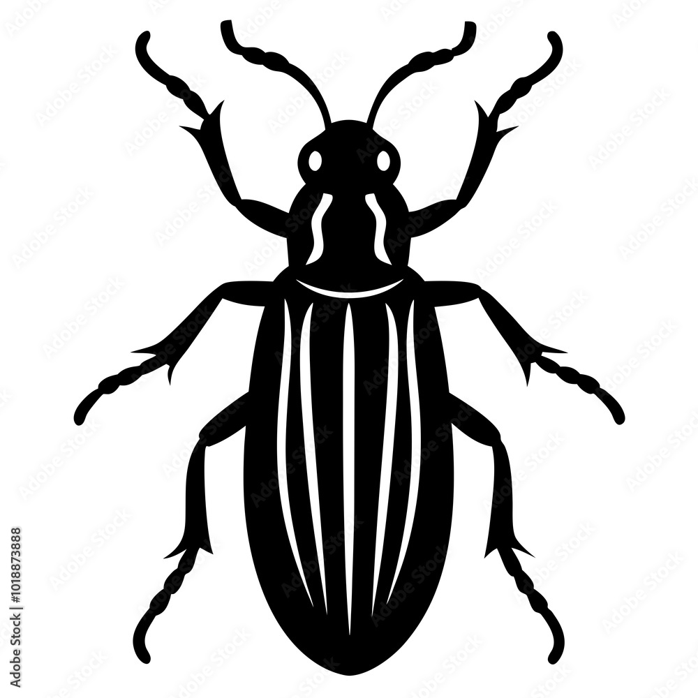 Bark Beetle insects vector design on a white background Bark Beetle insects vector design on a white background