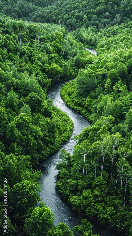 A winding river flows through a lush forest, surrounded by vibrant foliage and tall trees A winding river flows through a lush forest, surrounded by vibrant foliage and tall trees