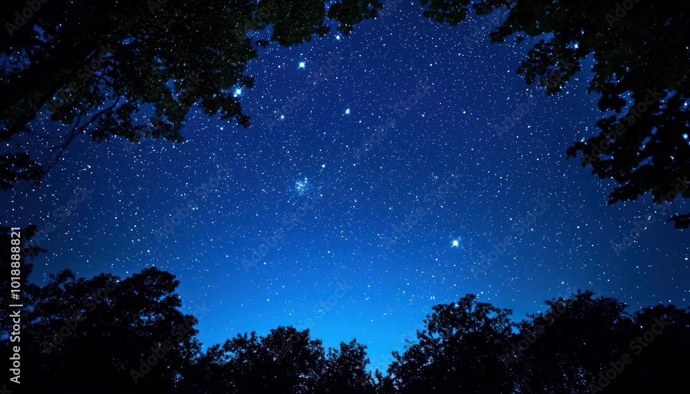 A deep blue nocturnal sky, scattered with innumerable twinkling stars. A deep blue nocturnal sky, scattered with innumerable twinkling stars.