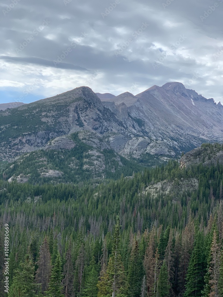 Fototapeta premium national park