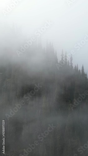 Wallpaper Mural Aerial view of a misty forest. The fog rolls over the mountainside, obscuring the tops of the pine trees. Drone footage of nature. British Columbia, Canada. Torontodigital.ca
