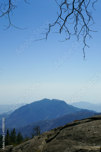 Sequoia National Park California photo