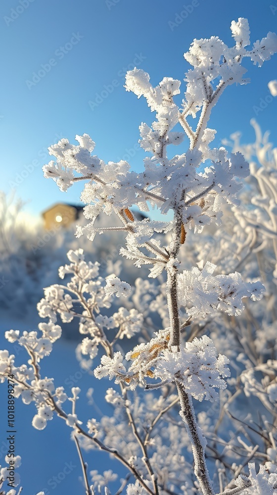 Winter frost blankets plants in a serene landscape under clear blue skies Winter frost blankets plants in a serene landscape under clear blue skies