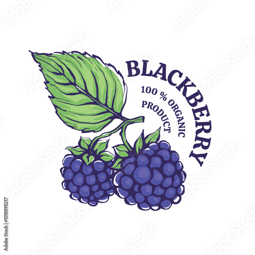 Vector color label of a blackberry product. Hand drawn line illustration with color