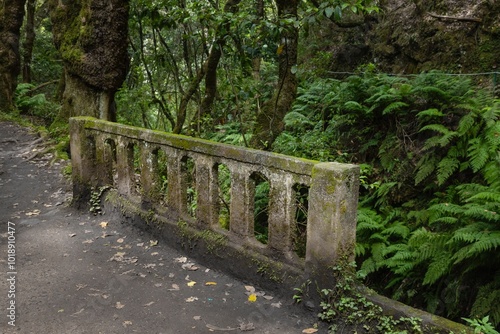 Concrete brige in hiking track. Forest of Balcoes Madeira. photo