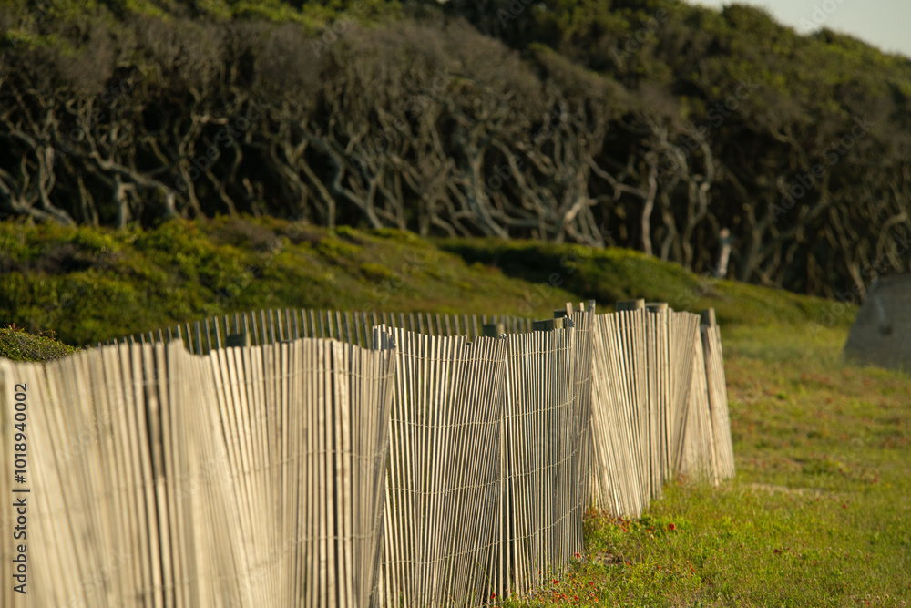Fototapeta premium fence on the grass
