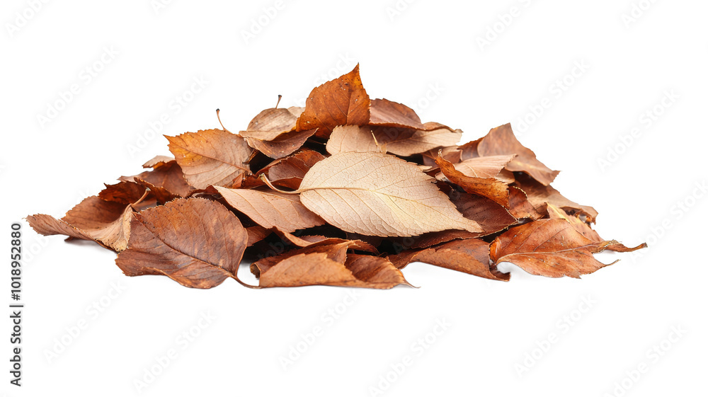 A pile of brown leaves on a white background A pile of brown leaves on a white background