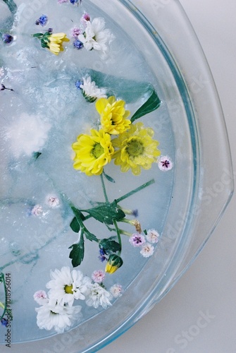 Flowers frozen in ice photo