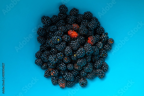 blackberry on a colored background photo