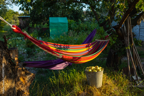 hammock in the private sector