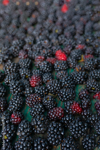 blackberries of different ripeness
