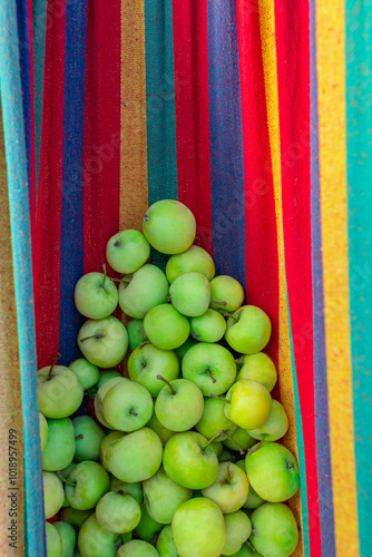 apples stacked in a hammock photo