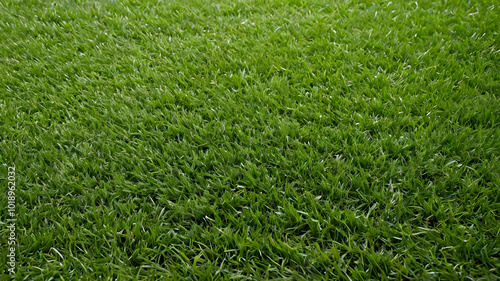 Wallpaper Mural Grass background. Fresh lawn grass texture. AI generated image, ai Torontodigital.ca
