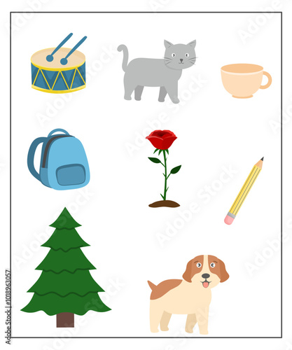 Living and non living worksheet for kindergarten, identifying living and non living things activity for kids  photo