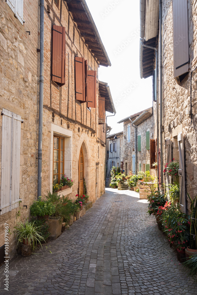 Fototapeta premium castelnau de montmiral