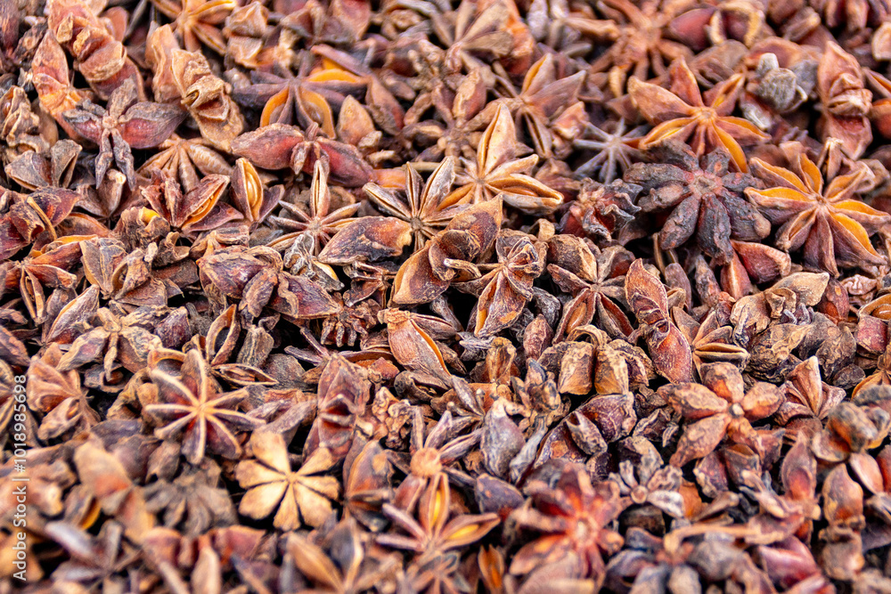 Obraz premium Dried star anise