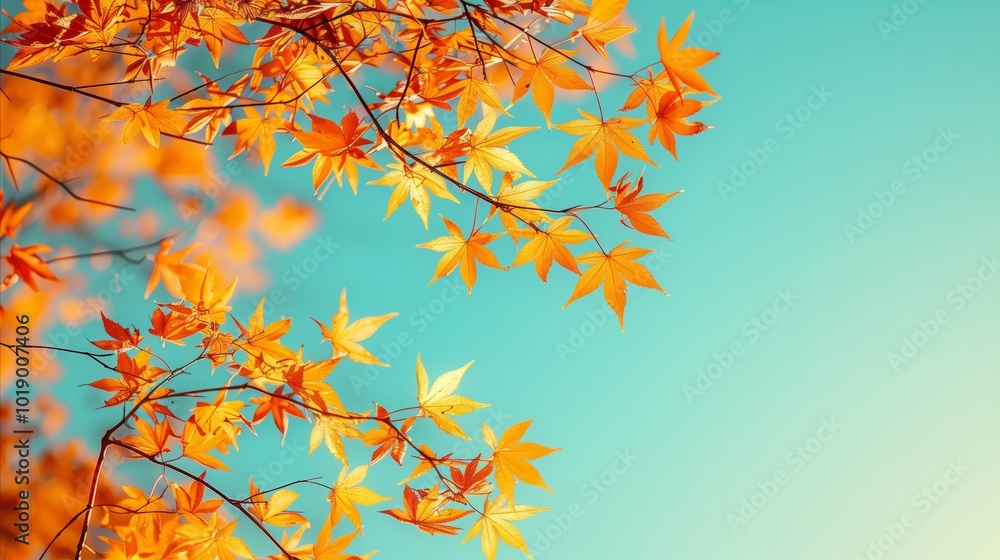 Golden autumn leaves on tree branches against a bright blue sky, symbolizing the seasonal transition and the beauty of fall Golden autumn leaves on tree branches against a bright blue sky, symbolizing the seasonal transition and the beauty of fall