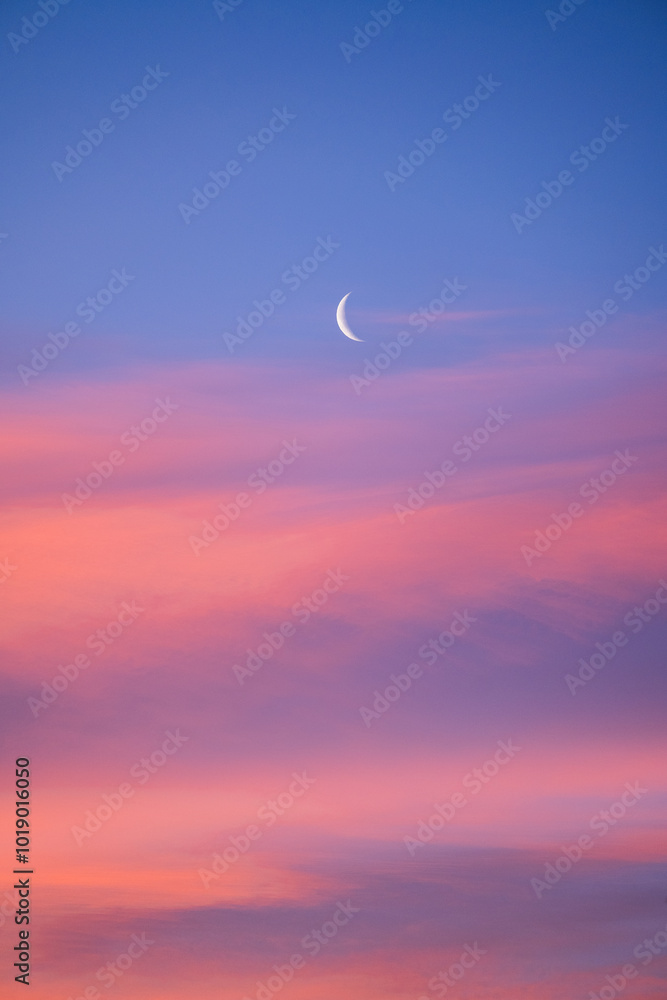 Crescent moon during beautiful pink sunrise Crescent moon during beautiful pink sunrise