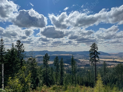 Bild auf Leinwand sky and clouds