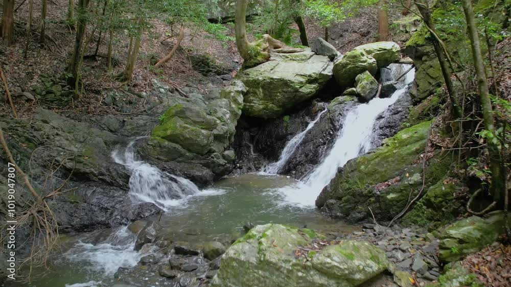 玉川峡ドローン空撮(川,自然,森) 玉川峡ドローン空撮(川,自然,森)