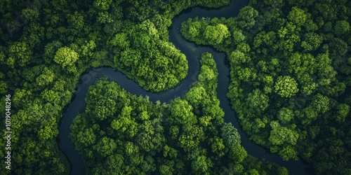  a winding river cutting through a lush forest, showing the natural patterns