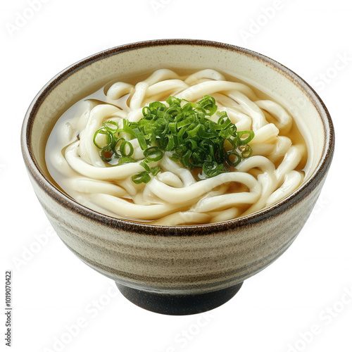 Delicious bowl of udon noodles topped with fresh green onions, transparent background