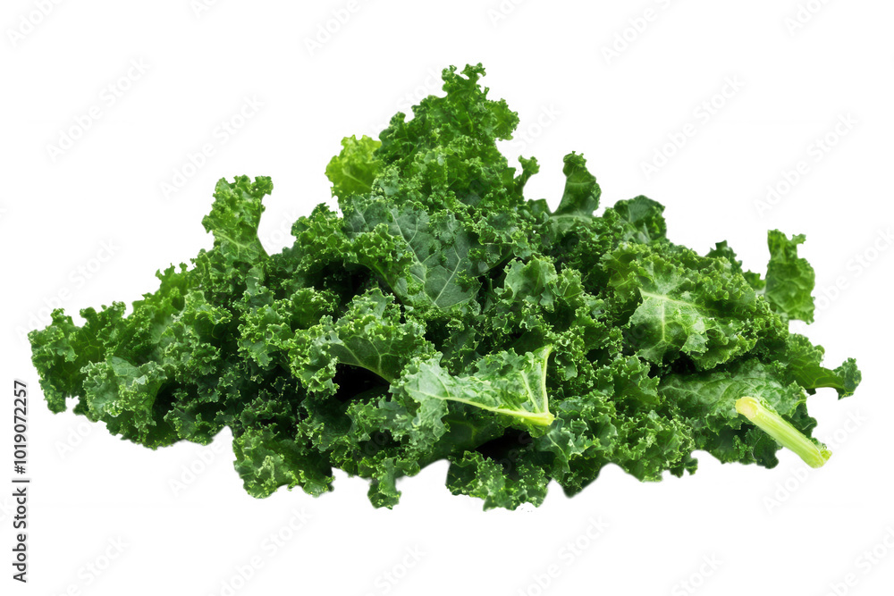 Fresh, vibrant kale leaves, perfect for salads and healthy dishes, transparent background Fresh, vibrant kale leaves, perfect for salads and healthy dishes, transparent background