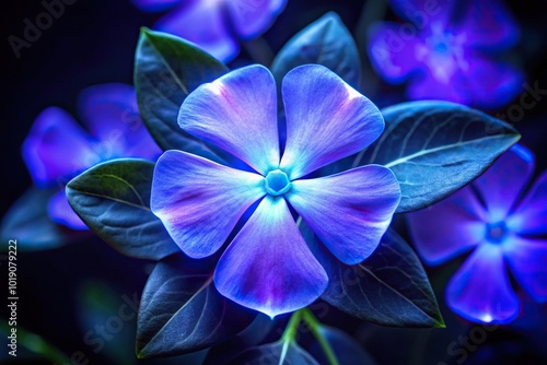 Aerial view of luminous periwinkle black light background