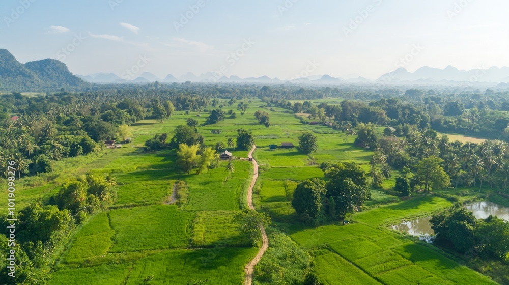 Naklejka premium Agricultural Roots of Thai Cuisine - Scenic Rice Paddies with Farmers Working in Thailand