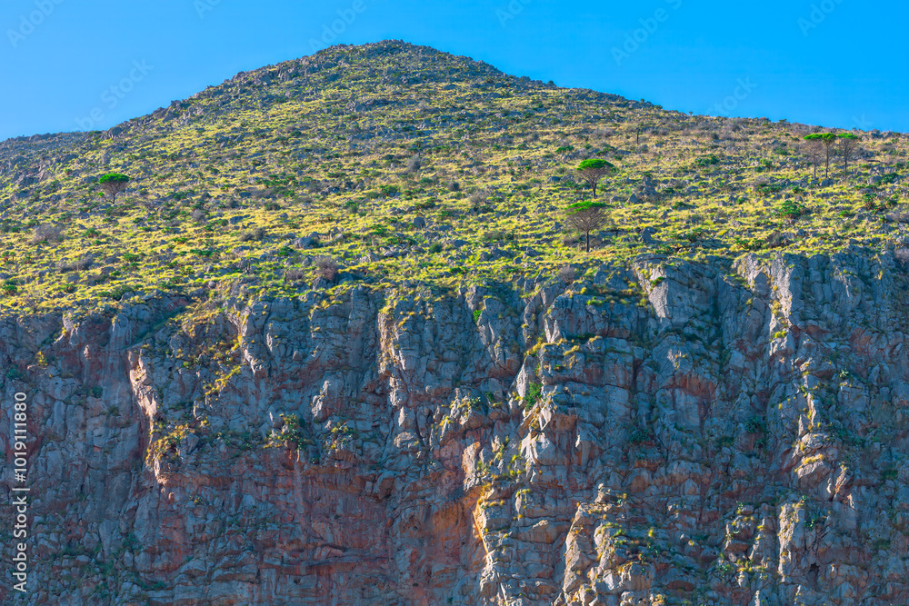 Large rock wall with trees perched on top, nature resilience against rugged terrain. Rocks and vegetation in the mountains of Sicily, Italy