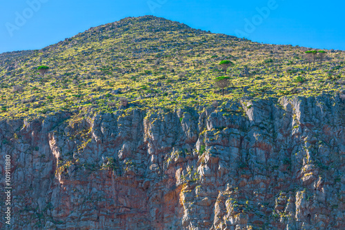 Obraz na płótnie Large rock wall with trees perched on top, nature resilience against rugged terrain. Rocks and vegetation in the mountains of Sicily, Italy w salonie