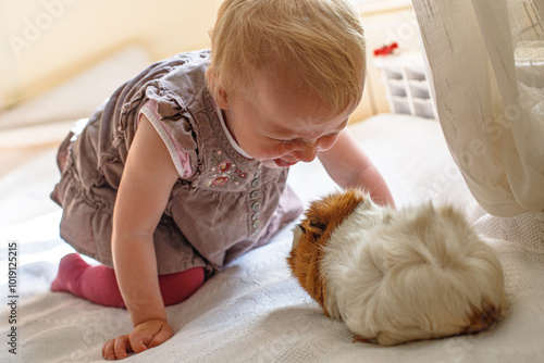 A baby interacts with a guinea pig on a soft surface in a cozy indoor setting