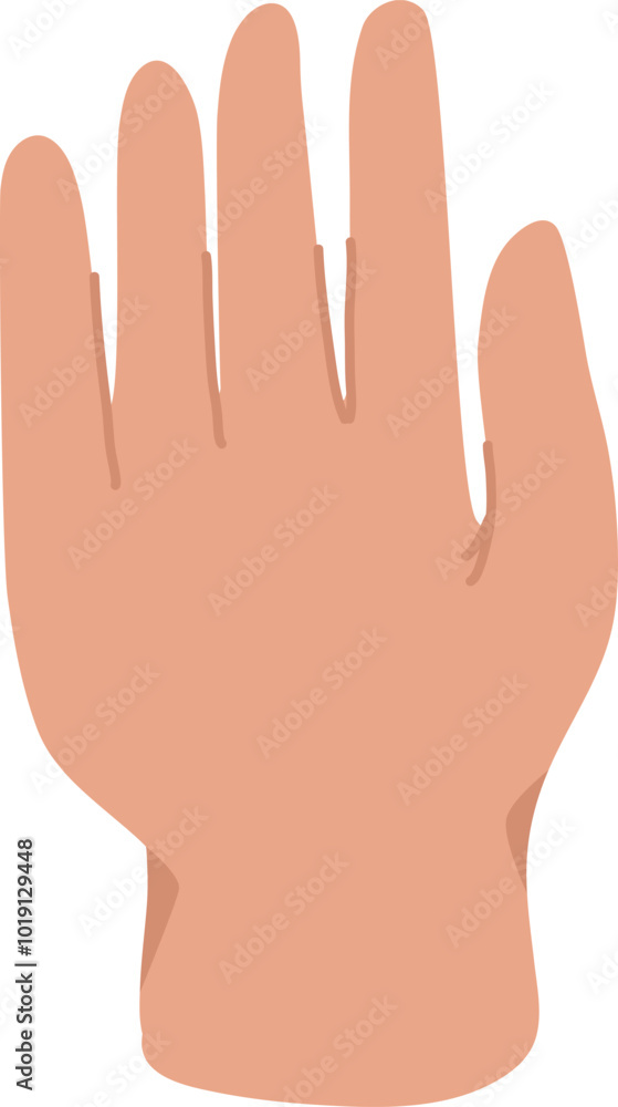Hand Palm Up Hand Palm Up