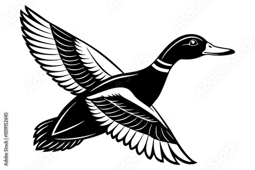 Flying mallard duck vector art illustration 