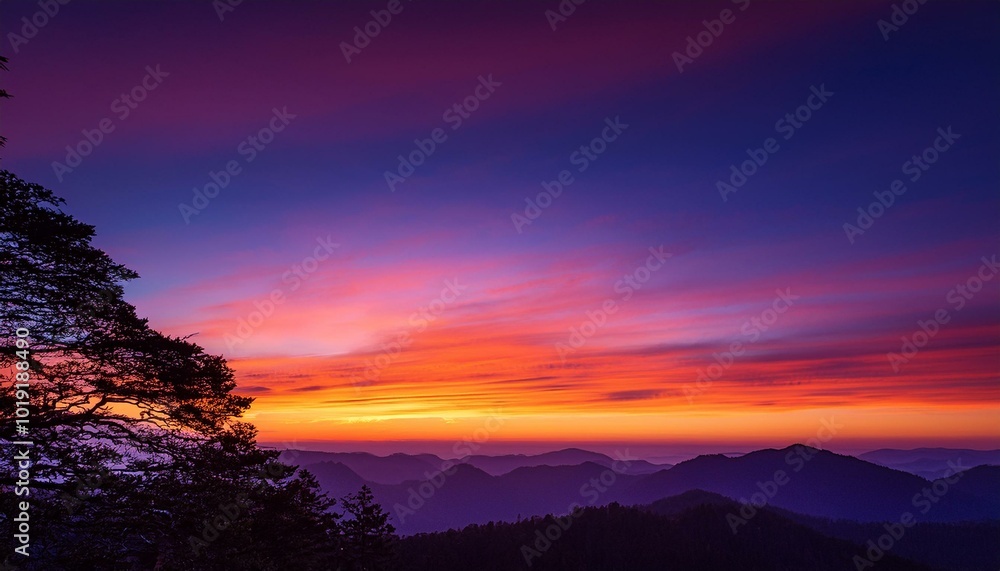 Obraz premium 秋の夕焼けとシルエット