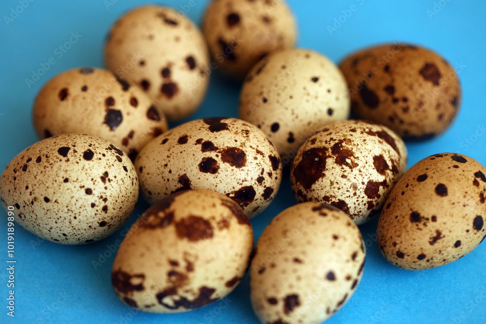 Few amount of quail eggs in small pile on blue background Few amount of quail eggs in small pile on blue background